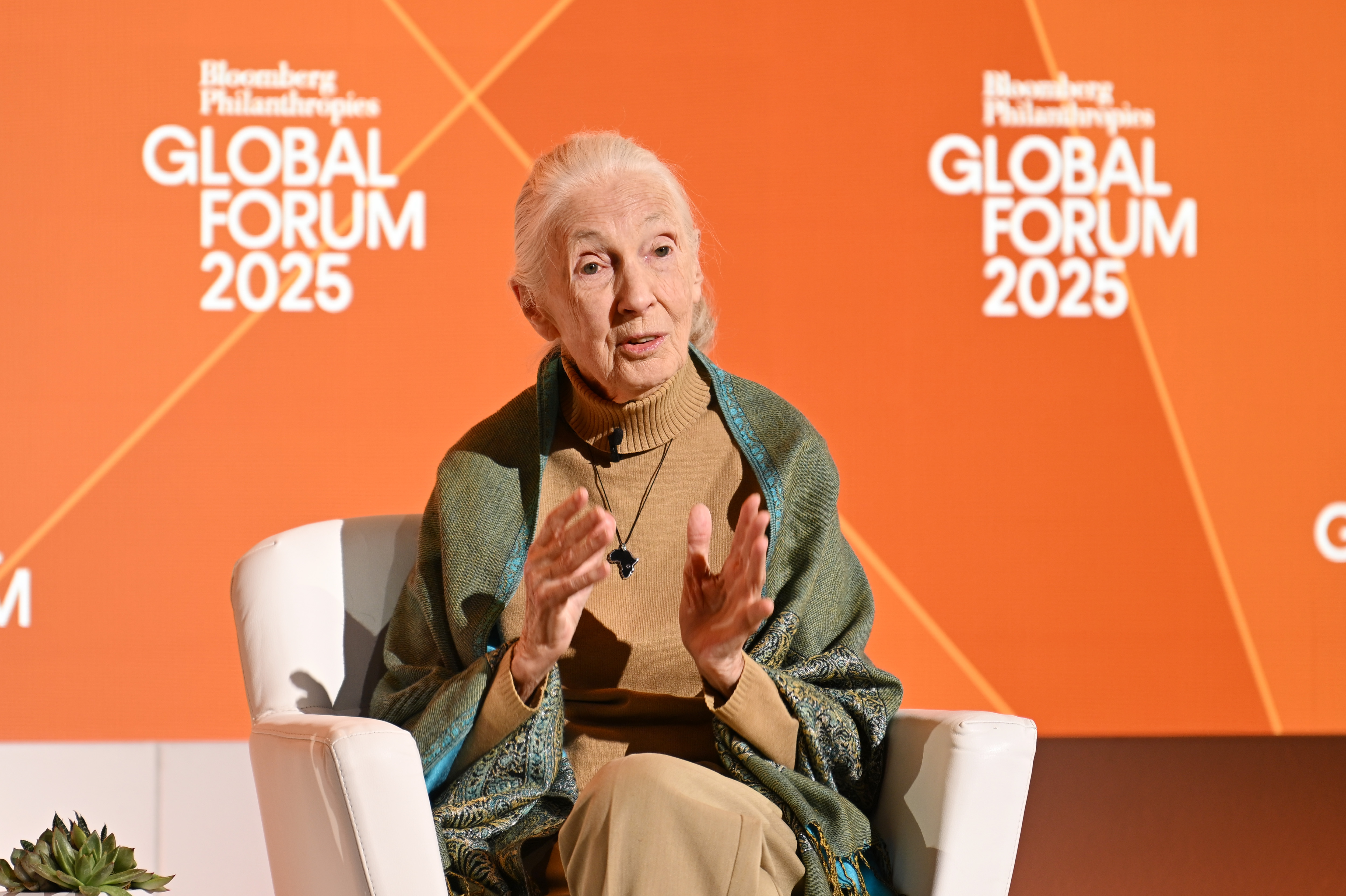 Jane Goodall speaking on stage at the Bloomberg Philanthropies Global Forum in New York City on September 24, 2025. | Source: Getty Images