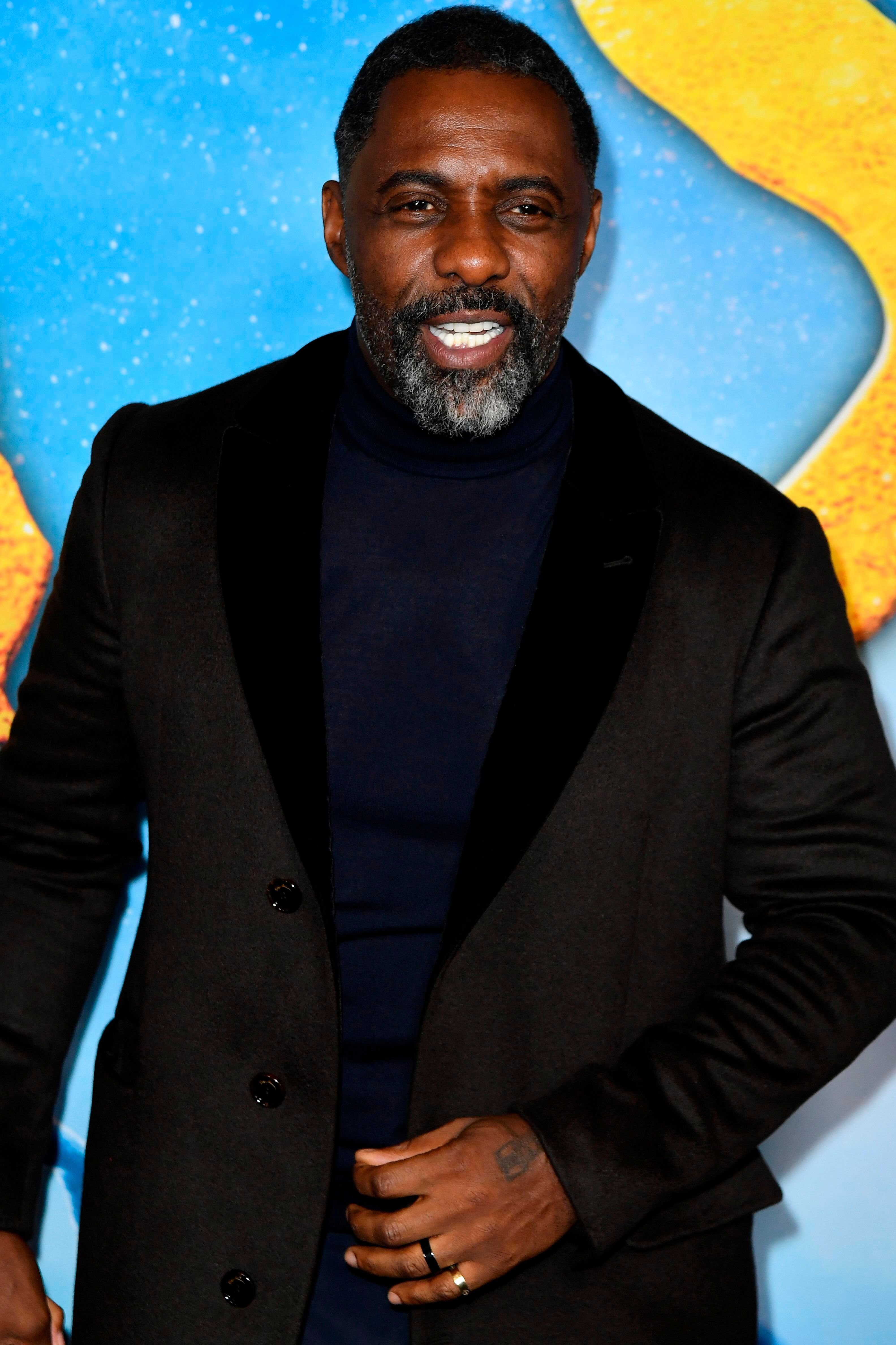 Idris Elba during the world premiere of "Cats" at the Alice Tully Hall in New York City, on December 16, 2019. | Source: Getty Images
