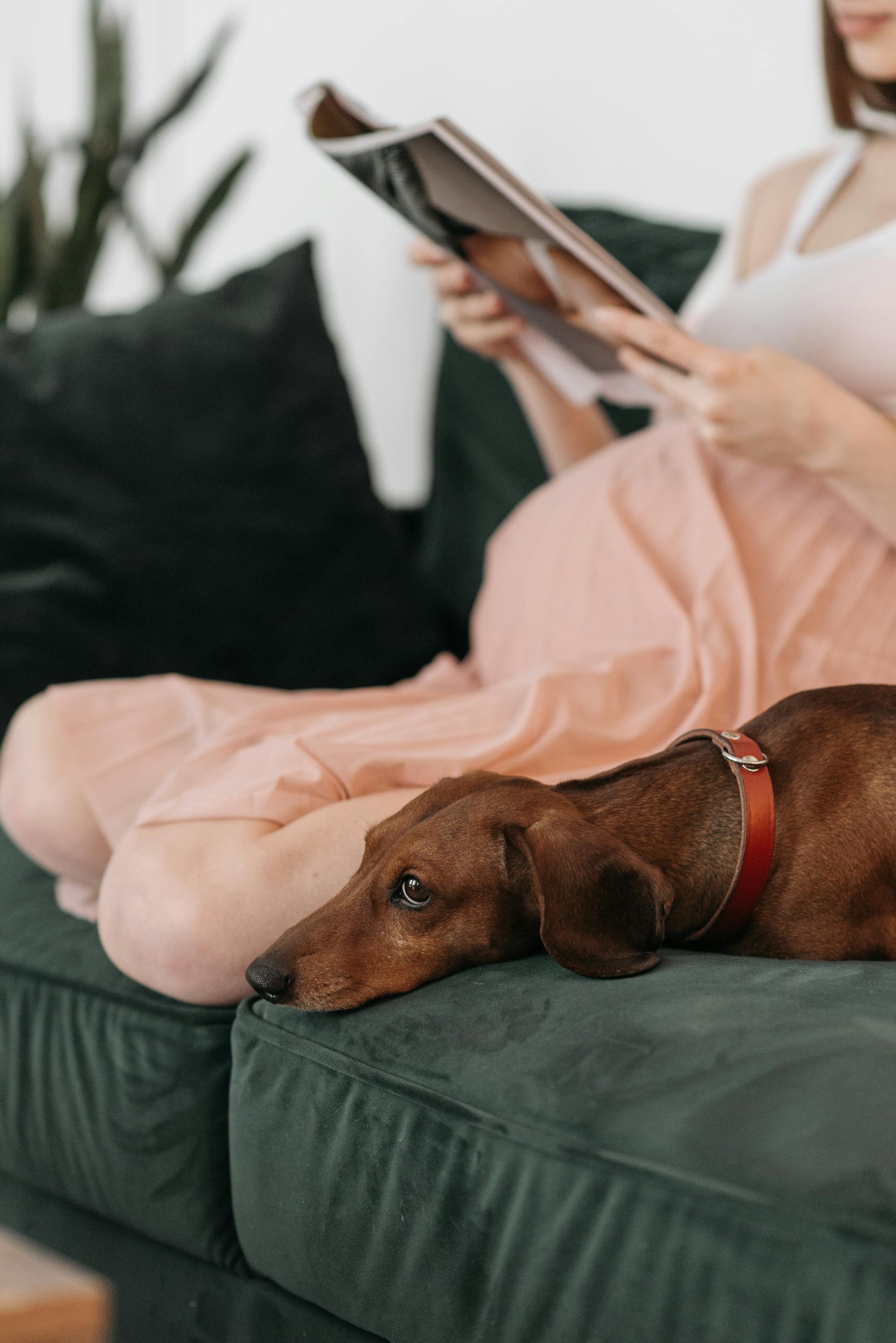 A pregnant woman sitting on a couch | Source: Pexels