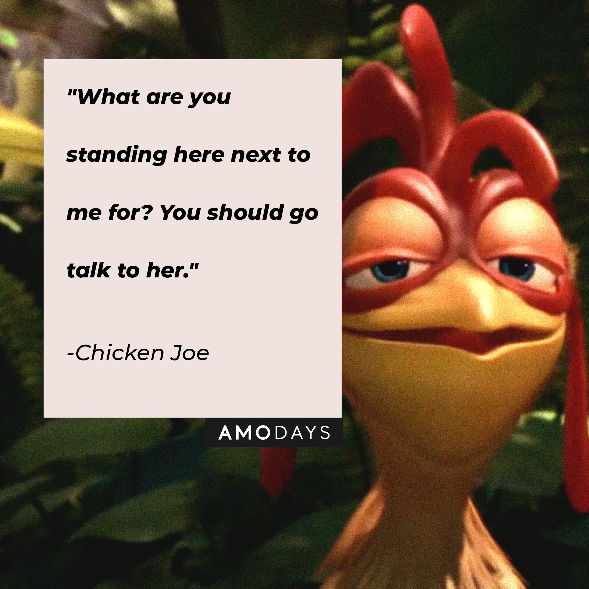 Funny Chicken Joe Quotes