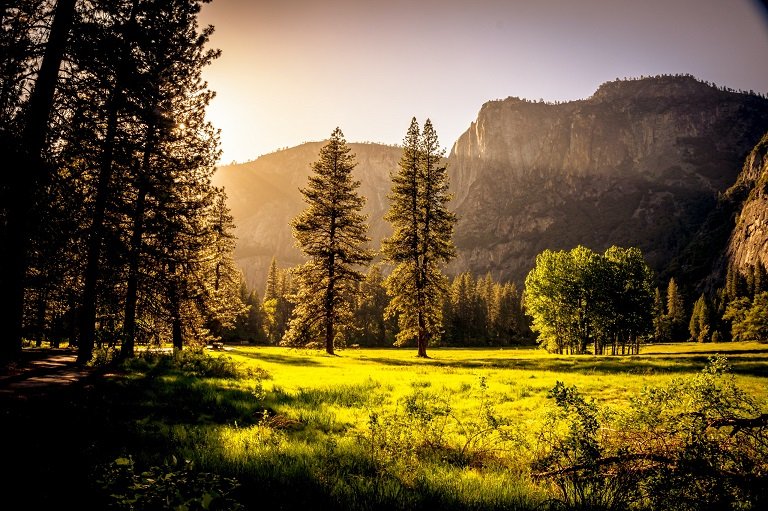 Un coucher de soleil à la forêt | Photo : Pexels. Un coucher de soleil à la forêt | Photo : Pexels.
