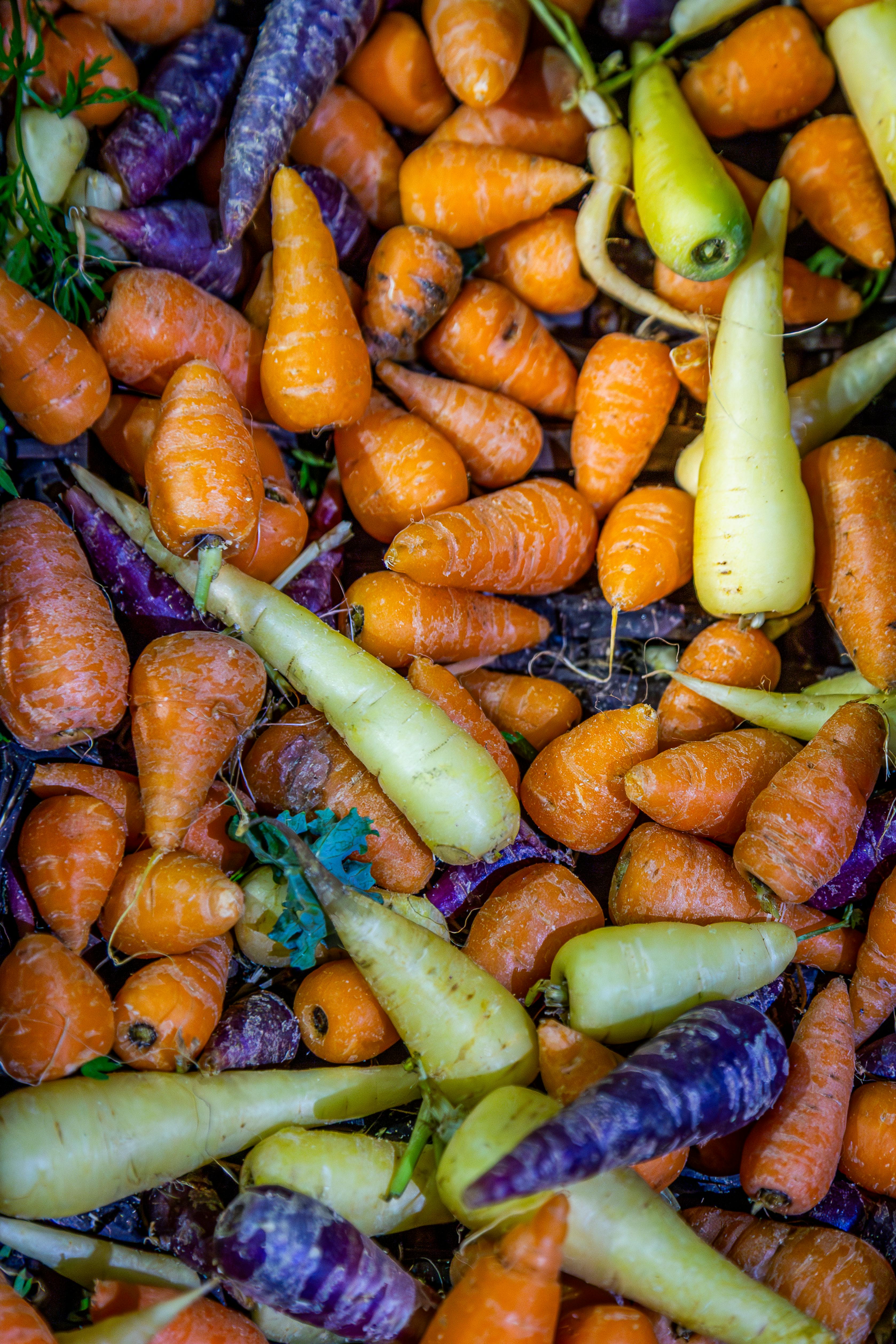 Carrots | Source: Pexels