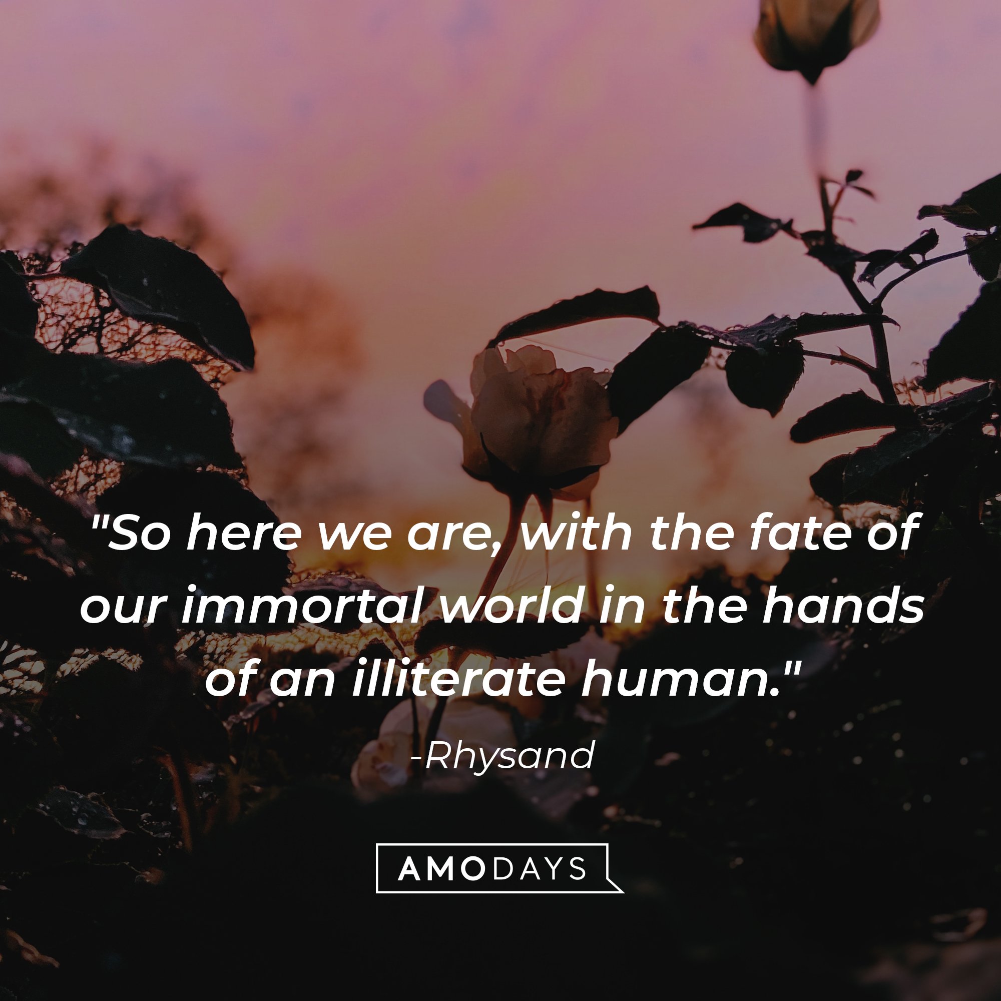 Rhysand’s quote: "So here we are, with the fate of our immortal world in the hands of an illiterate human." | Image: AmoDays