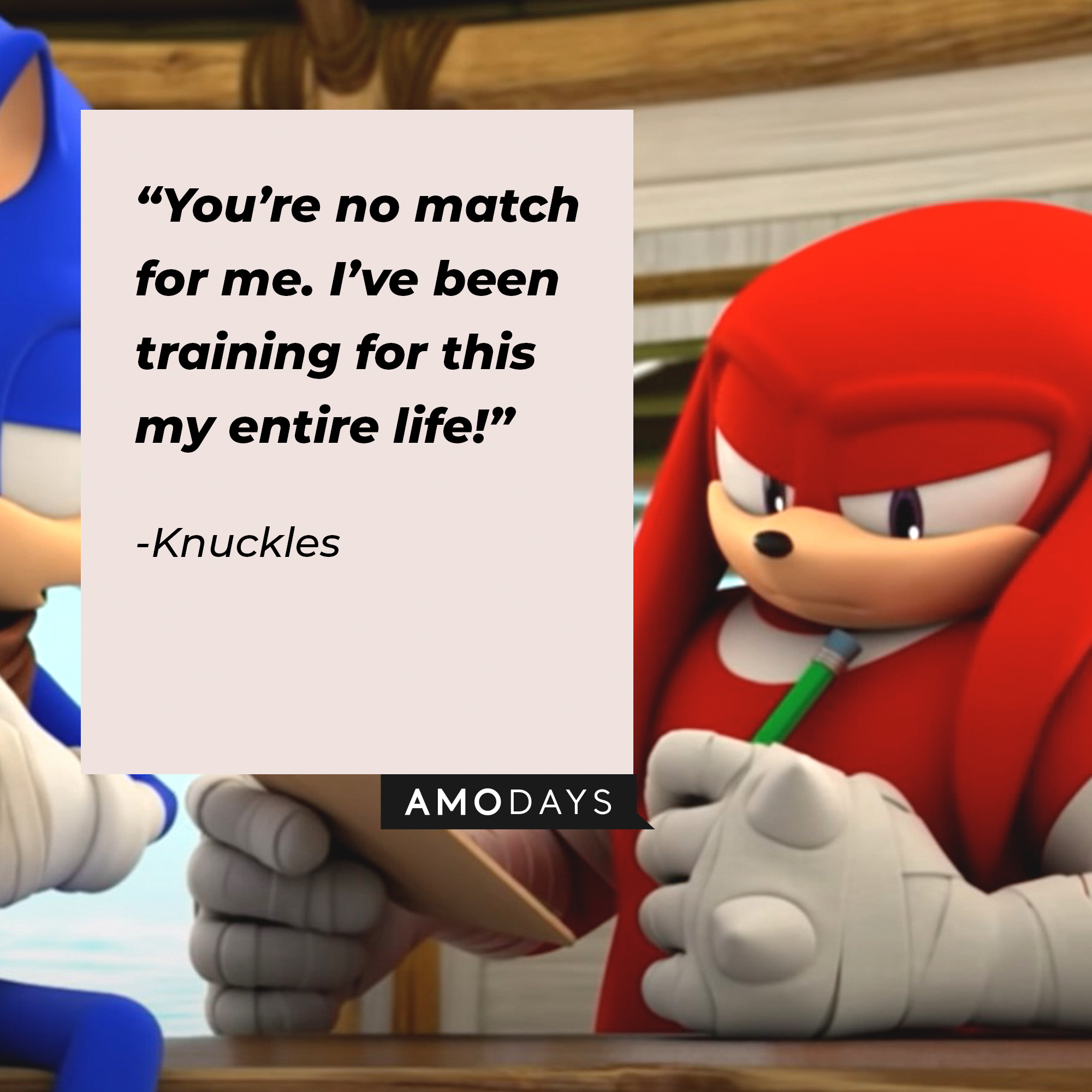 An image of Knuckles with his quote: “You’re no match for me. I’ve been training for this my entire life!” | Source: youtube.com/Sonic.Boom_Official