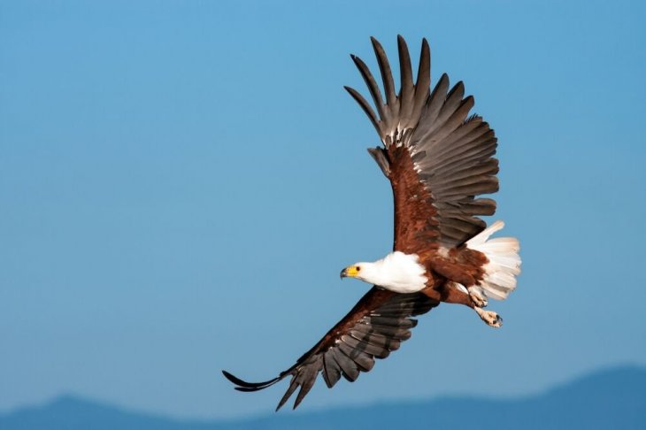 Source: Shutterstock Source: Shutterstock