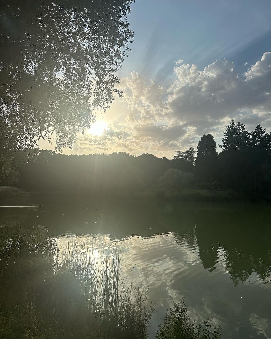 Inside the property of Alain Delon, La Brulerie, in Douchy, central France, from an Instagram post, dated August 1, 2024. | Source: Instagram/anouchkadelon/