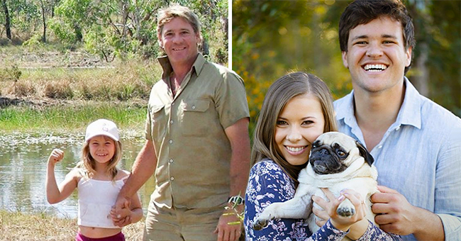 instagram.com/bindisueirwin / instagram.com/stellairwinthepug