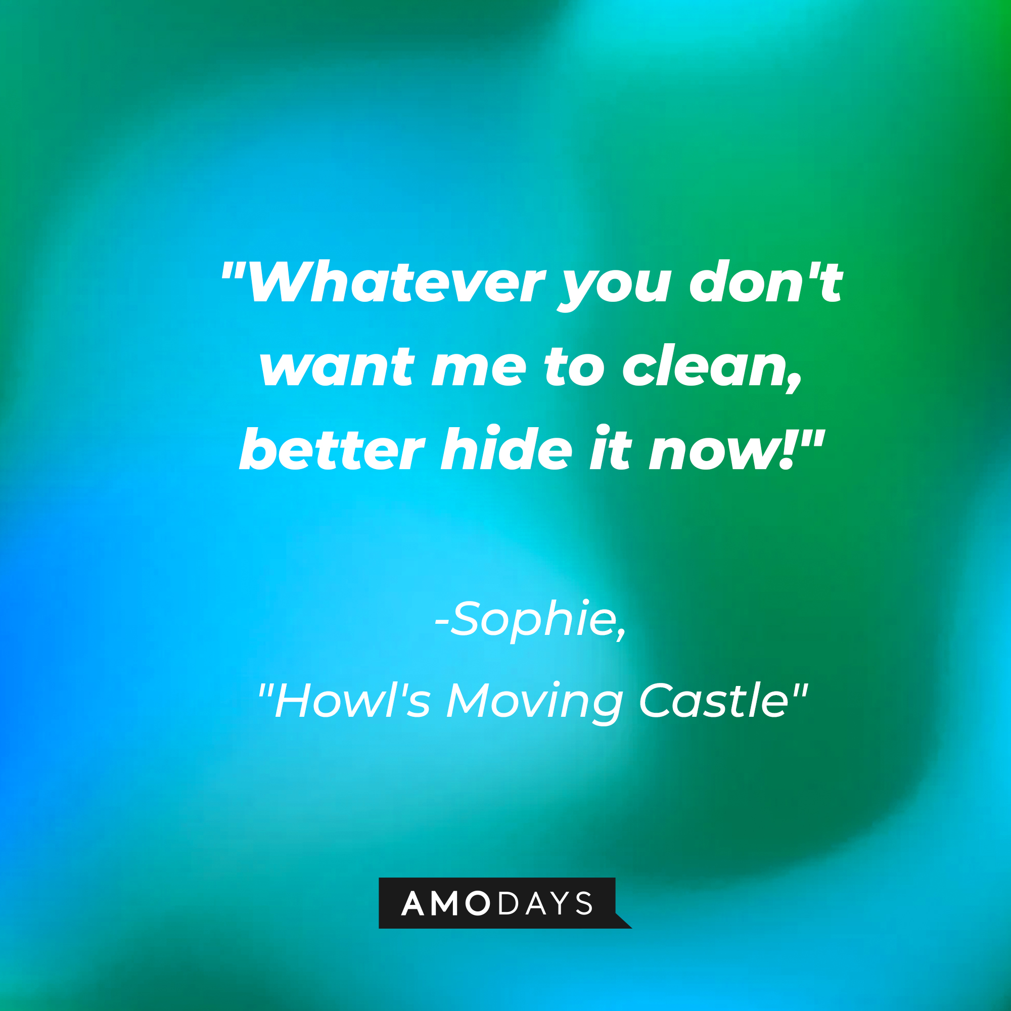 Sophie's quote in "Howl's Moving Castle:" "Whatever you don't want me to clean, better hide it now!" | Source: AmoDays