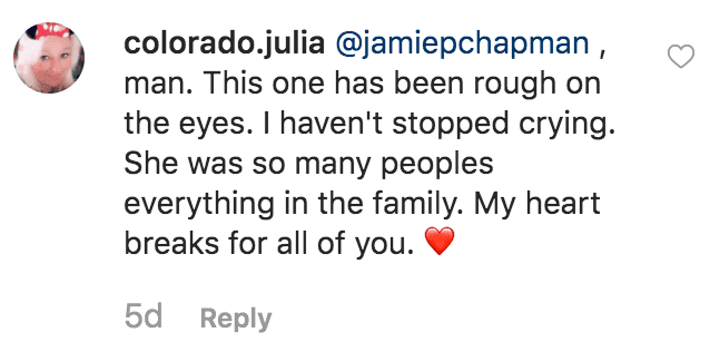 Commentaires de fans sur le post de Jamie Pillar Chapman | Source : Instagram.comjamiepchapman