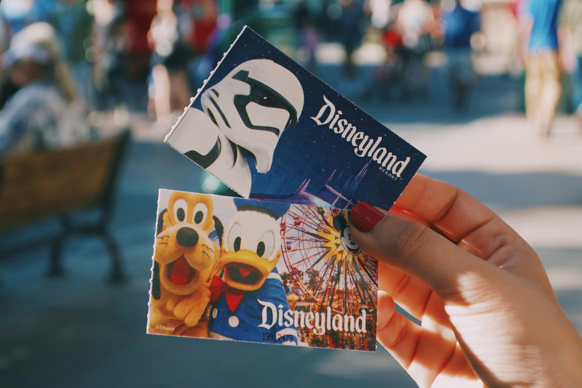 A person holding pictures of Disney characters | Source: Unsplash