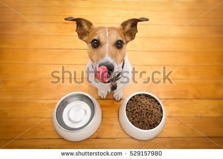 Quelle: Shutterstock