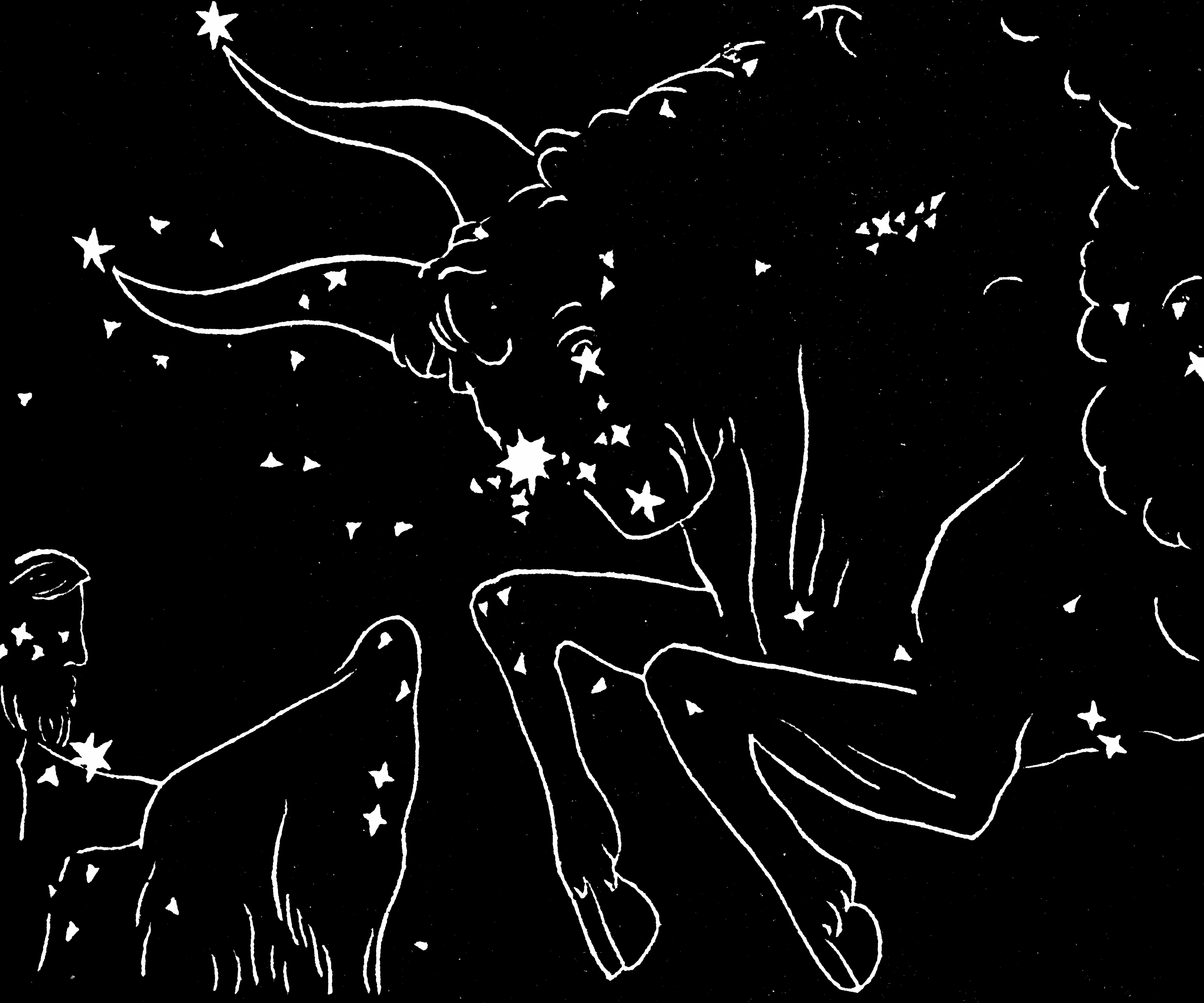 The Constellation of Taurus. | Source: Getty Images