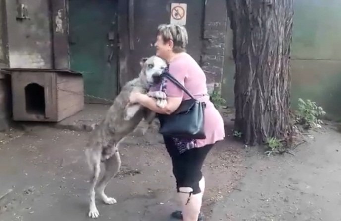 Mujer y su perro perdido se abrazan. | Foto: Facebook/schastlivie.zhivotnie Mujer y su perro perdido se abrazan. | Foto: Facebook/schastlivie.zhivotnie