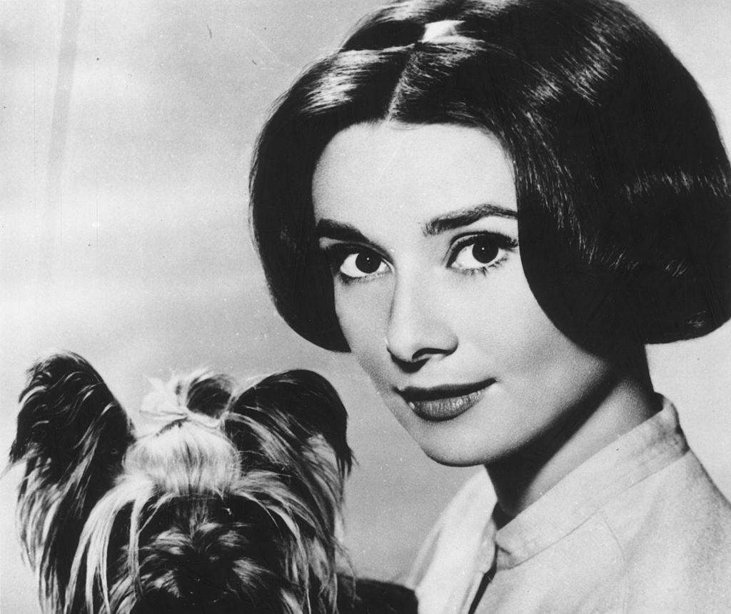 La actriz belga Audrey Hepburn en 1959 con su mascota. | Foto: Getty Images