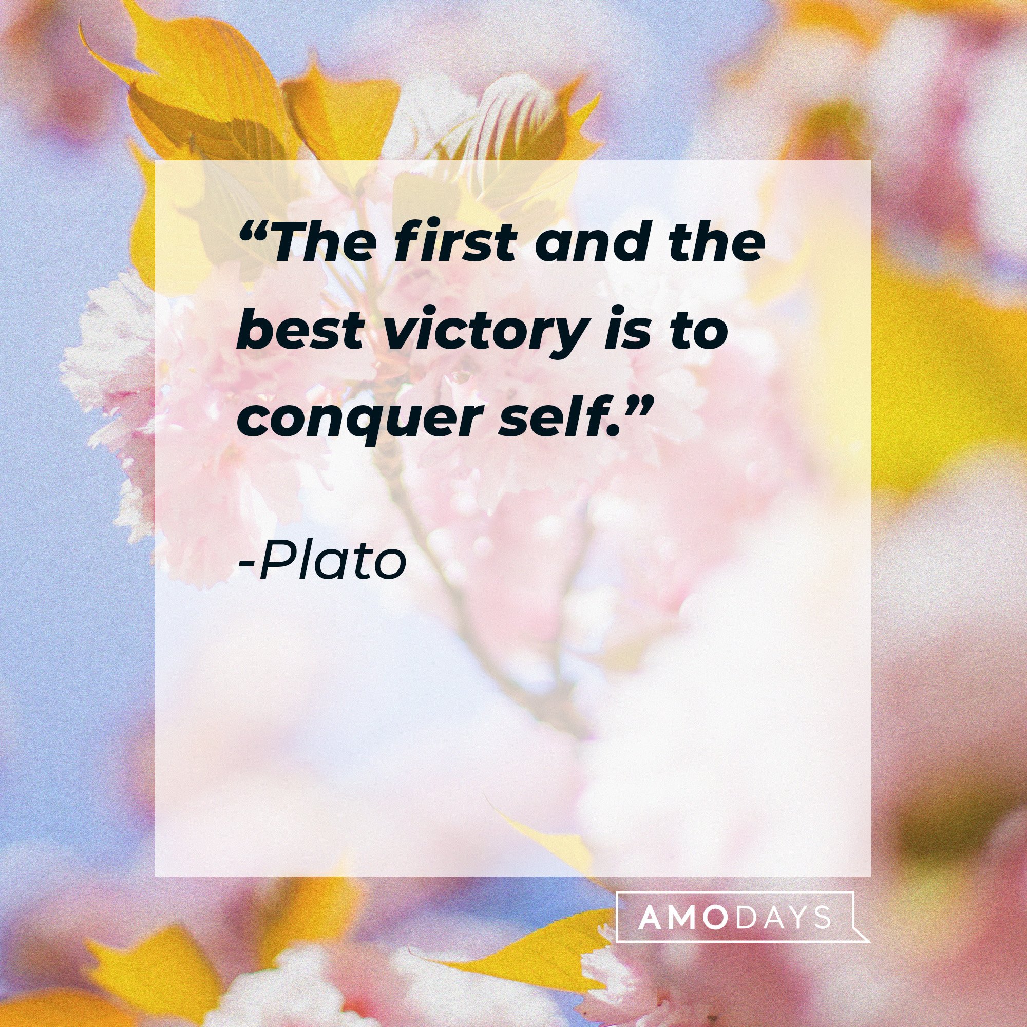 Plato's quote: “The first and the best victory is to conquer self.| Image: AmoDays