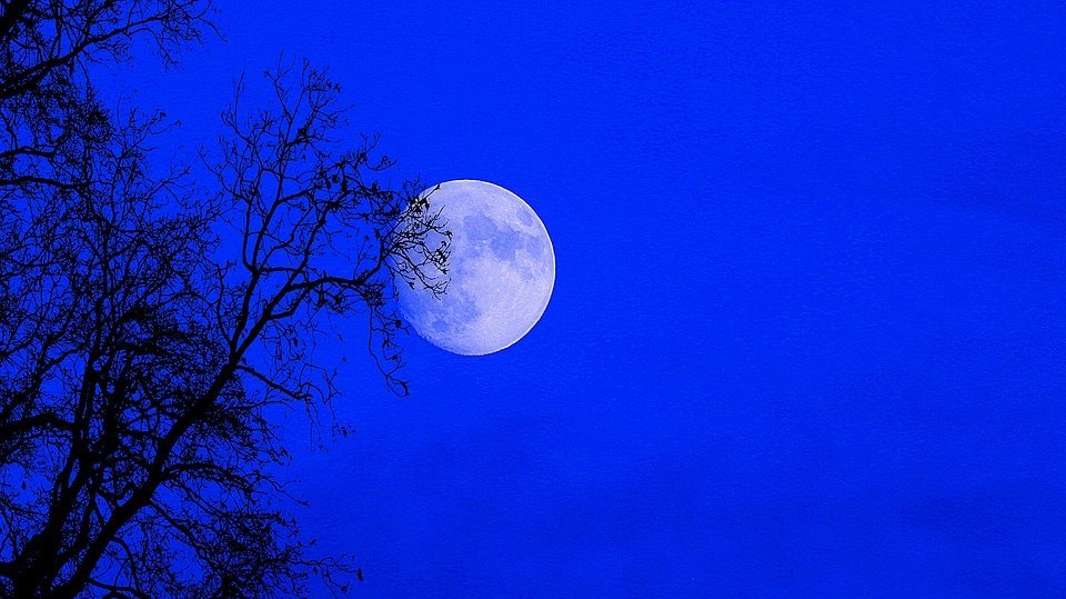 Vista de Superluna en el cielo. | Imagen: Pixabay Vista de Superluna en el cielo. | Imagen: Pixabay