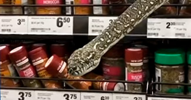A snake unexpectedly poked its head out from a spice shelf in a supermarket | Photo: Youtube/Guardian Australia