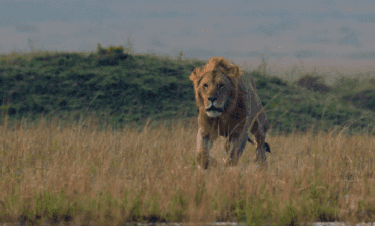 Quelle: YouTube/BBC Earth
