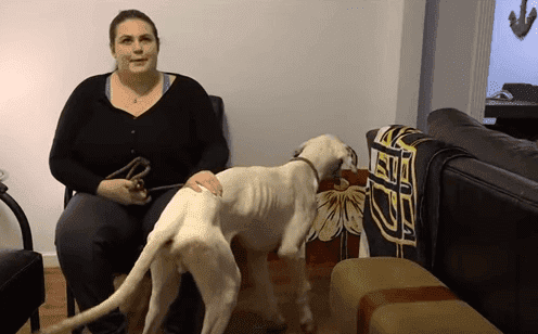 Cliente víctima con su perro Gran Danés. |Imagen: YouTube.com / 11Alive