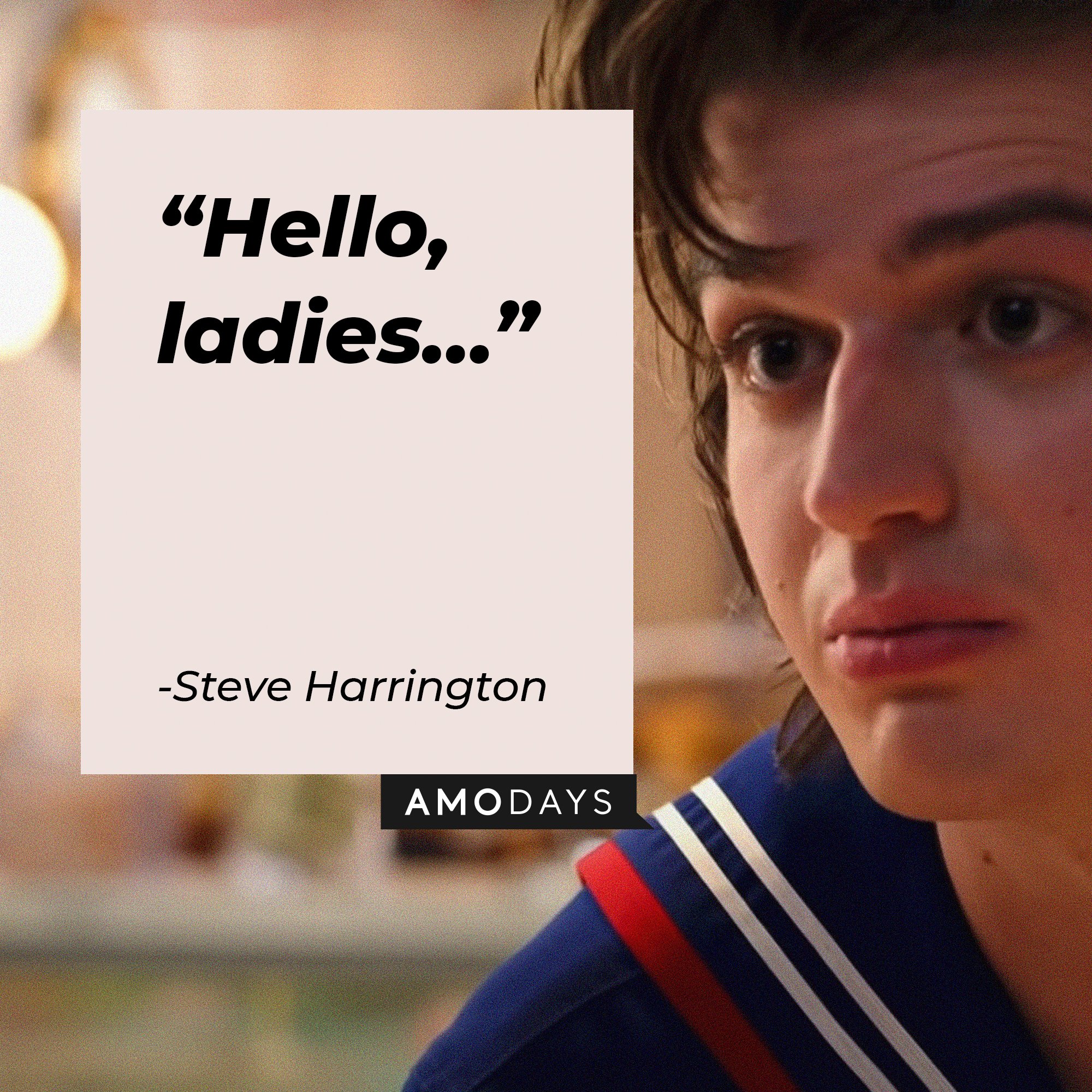  Steve Harrington's quote: "Hello, ladies…"  | Image: AmoDays  