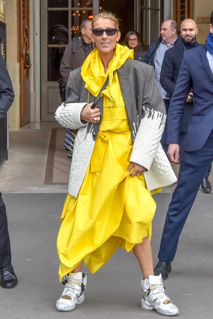 Céline Dion toute en couleur en France / Source : Getty images