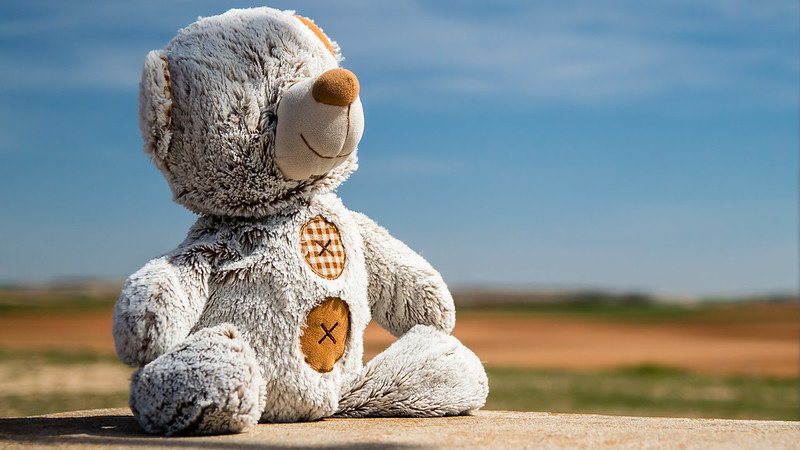 A picture of a teddy bear. | Photo: Flickr 