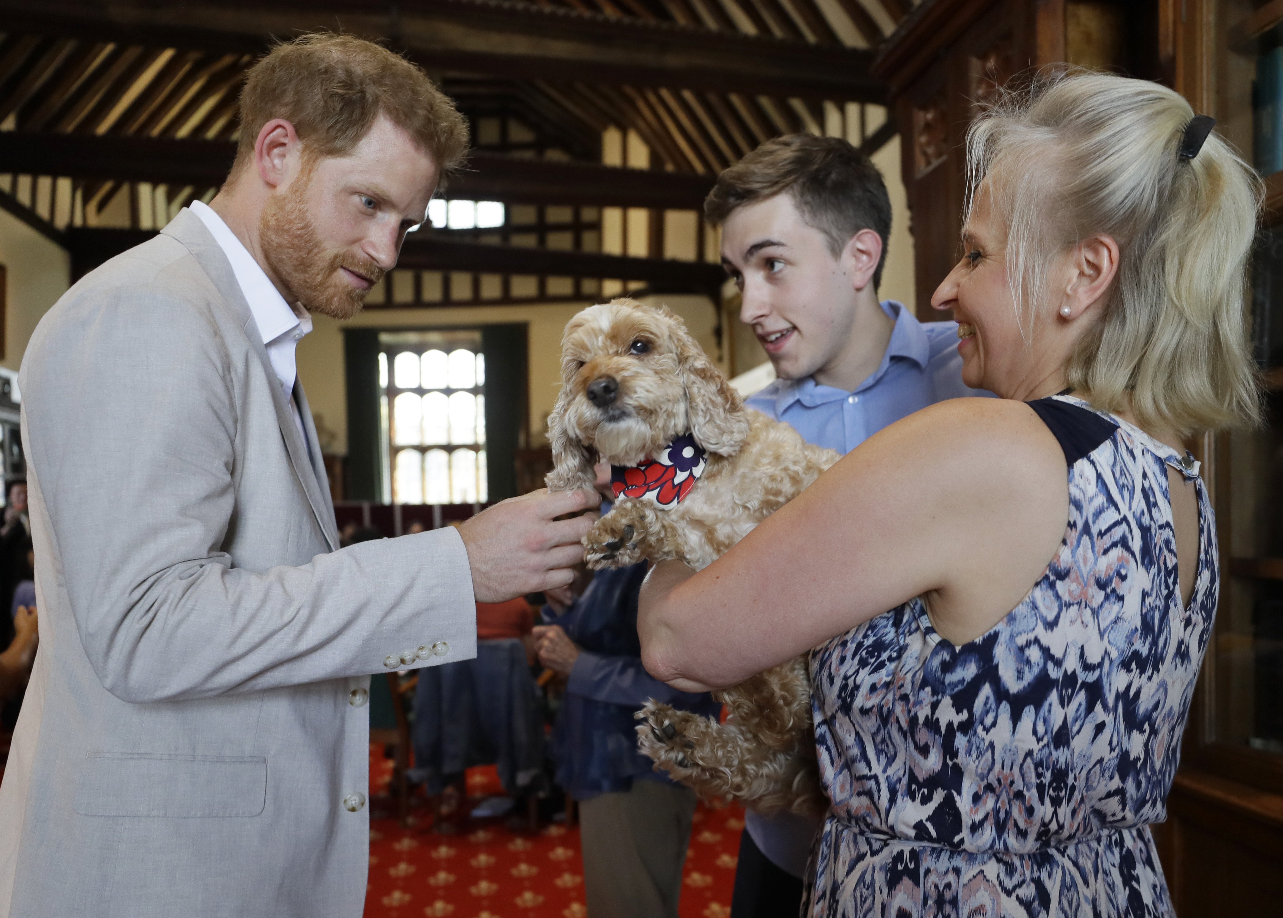 Prince Harry pets a dog during a Roots & Shoots meeting on July 23 at St. George's House, Windsor Castle | Photo: Getty Images