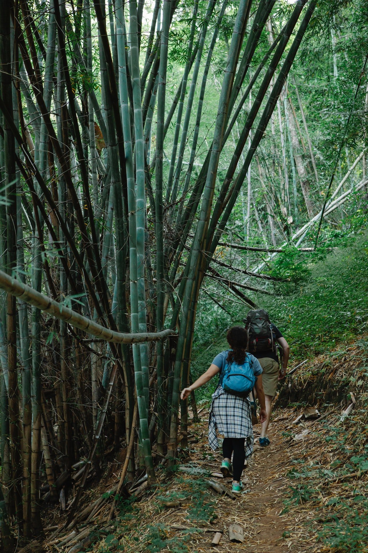 Woman hiking in a park | Source: Pexels