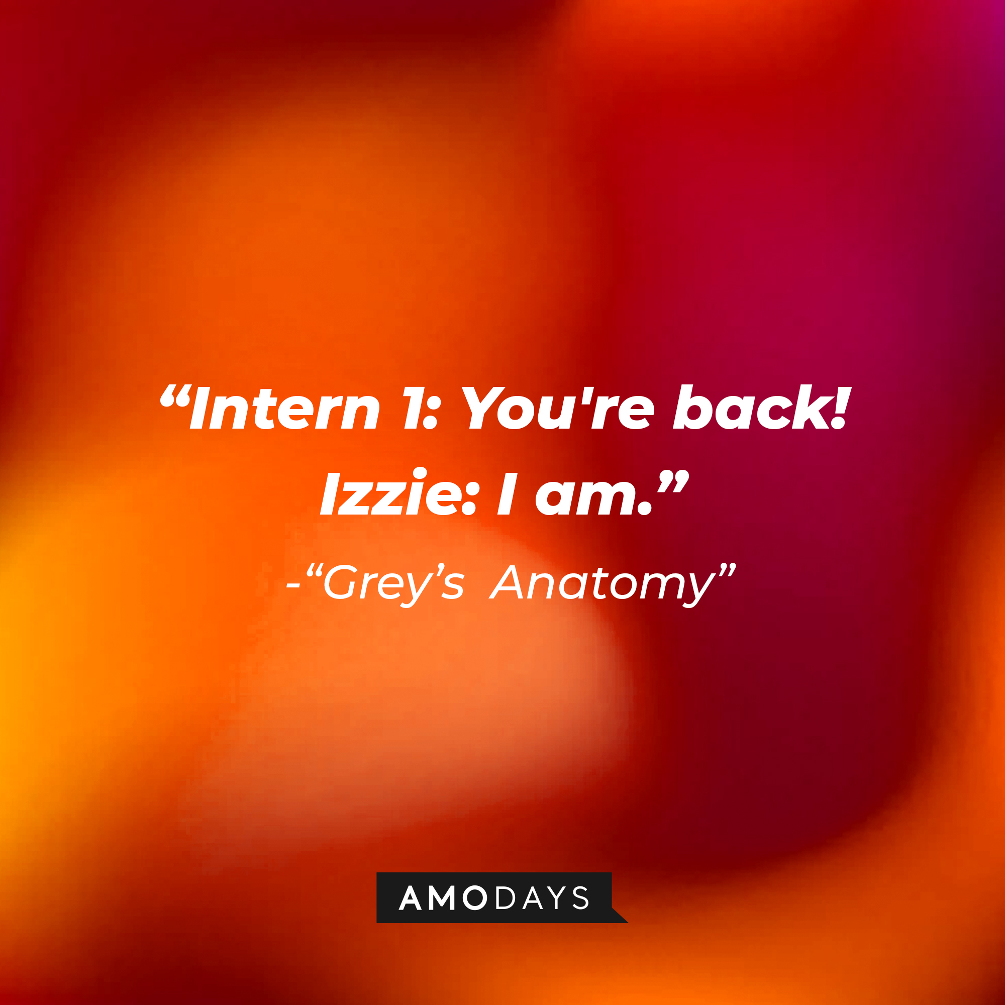 Intern 1's quote: "You're back!" Izzie: "I am." | Image: Amodays