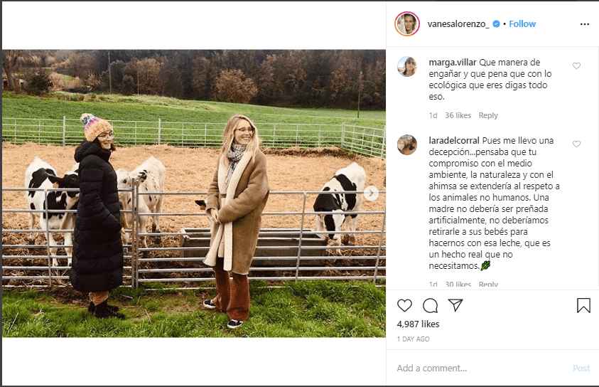 Captura de pantalla de comentarios en publicación de Instagram de Vanesa Lorenzo. Foto: Instagram/vanesalorenzo_