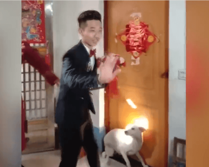 El perro no quería que el novio pasara-Imagen tomada de Miaopai El perro no quería que el novio pasara-Imagen tomada de Miaopai