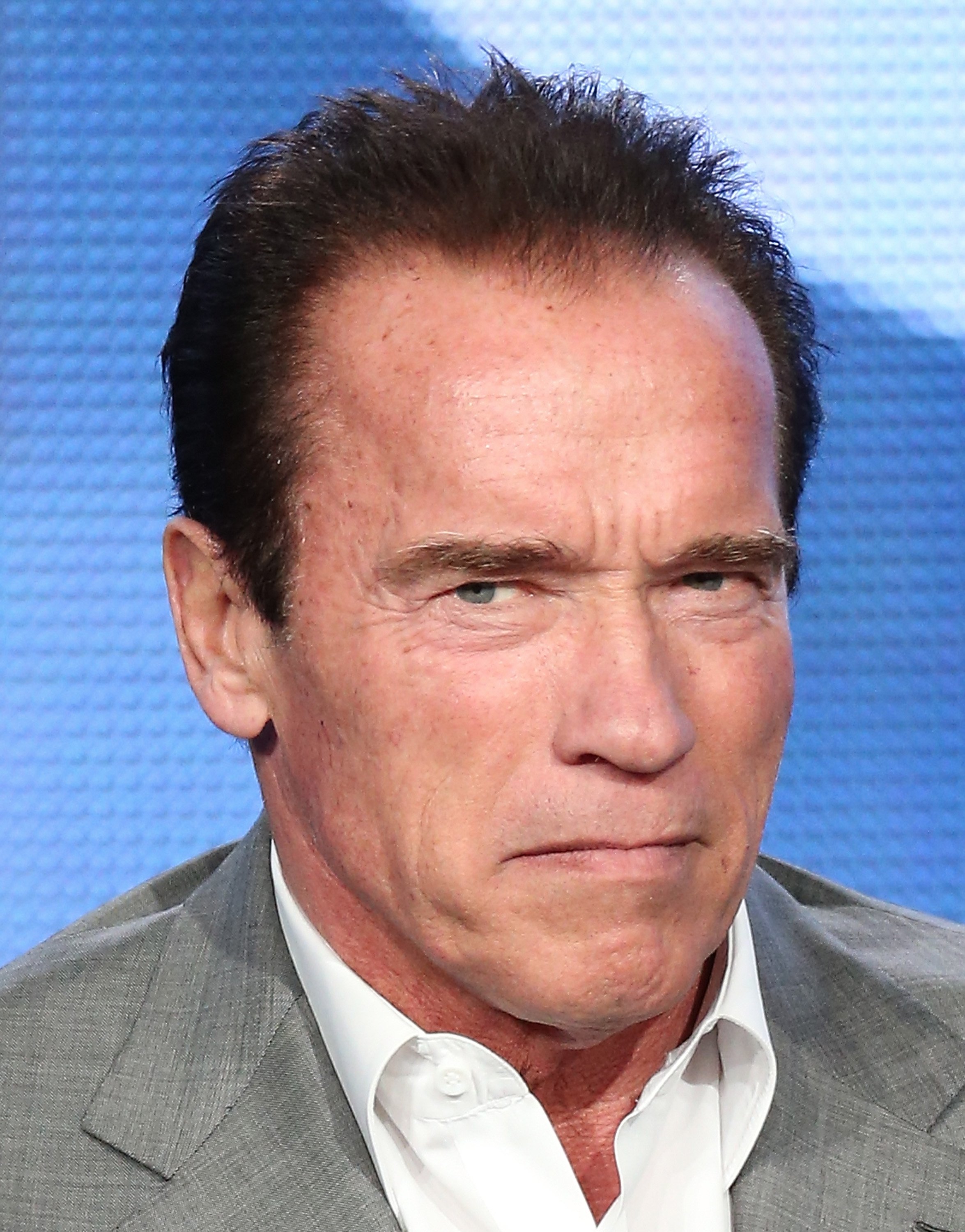 Arnold Schwarzenegger at the Showtime portion of the 2014 Winter Television Critics Association tour at Langham Hotel on January 16, 2014 in Pasadena, California | Source: Getty Images