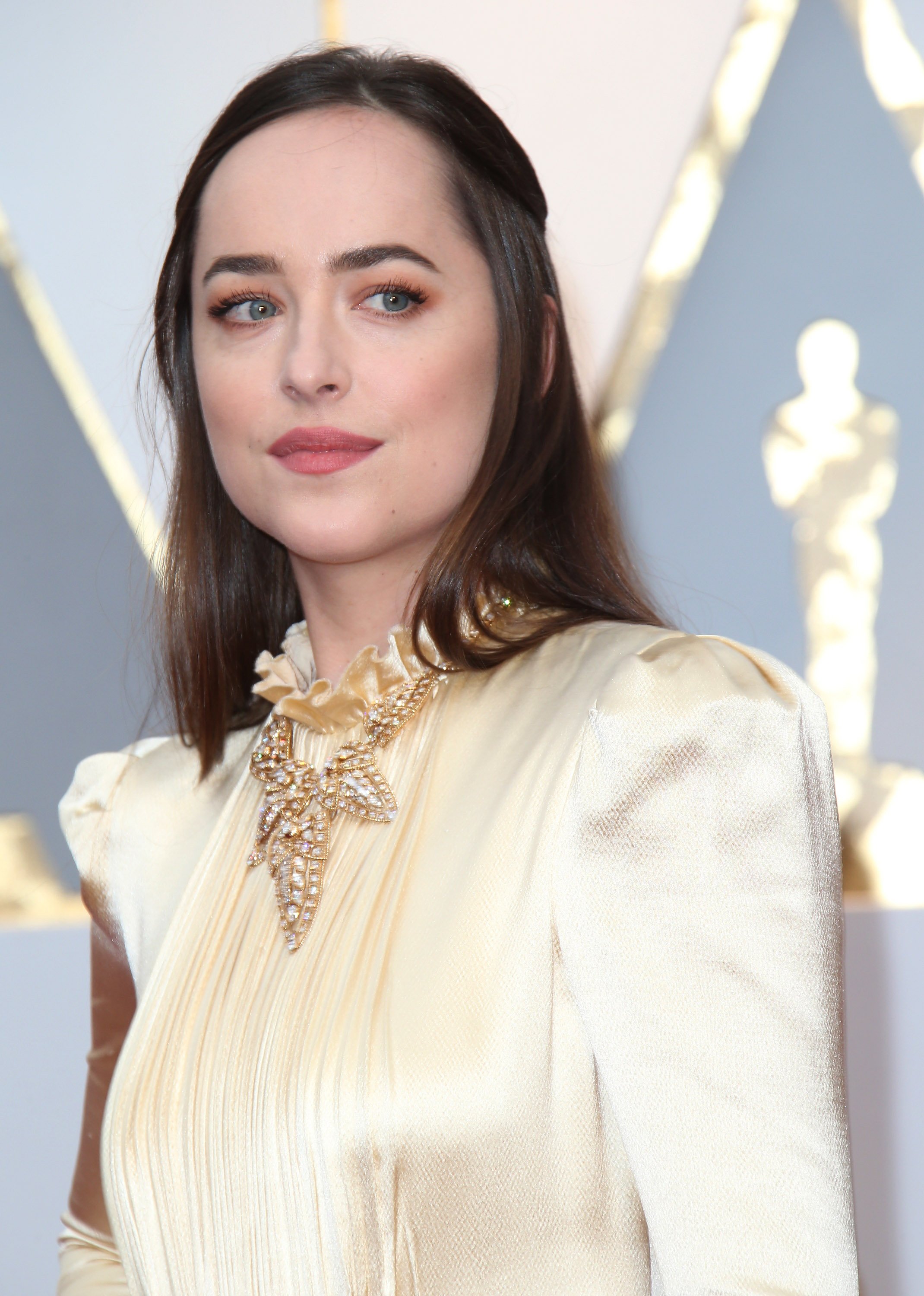 Dakota Johnson attends the Annual Academy Awards in Hollywood, California on February 26, 2017 | Photo: Getty Images