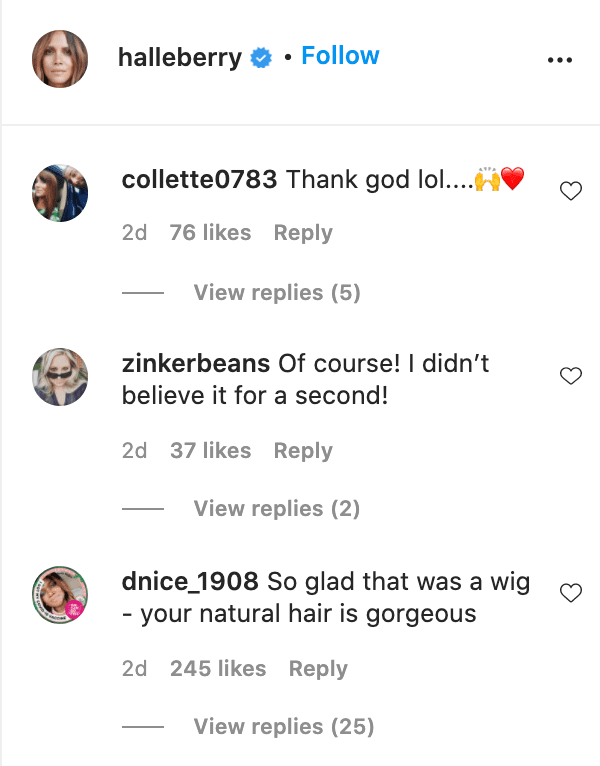 Screenshots of fan comments on Halle Berry's photo. | Source: Instagram/halleberry