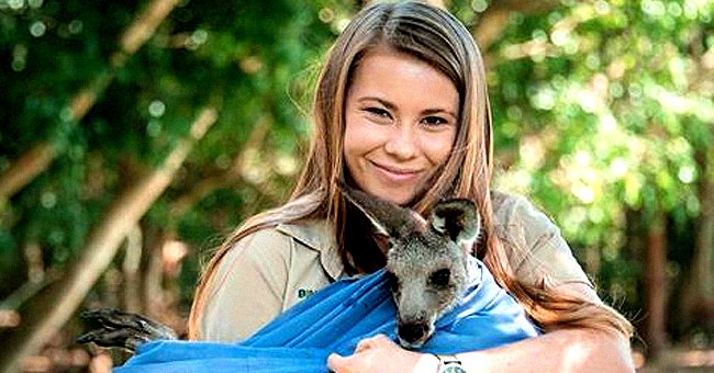  Instagram/bindisueirwin