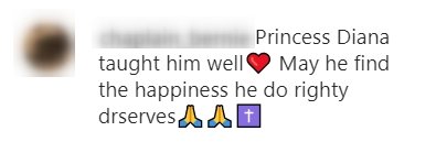 A fan's comment on a photo-post of Prince Harry doing volunteer work | Photo: Instagram / walkerfamilyeventsfoundation