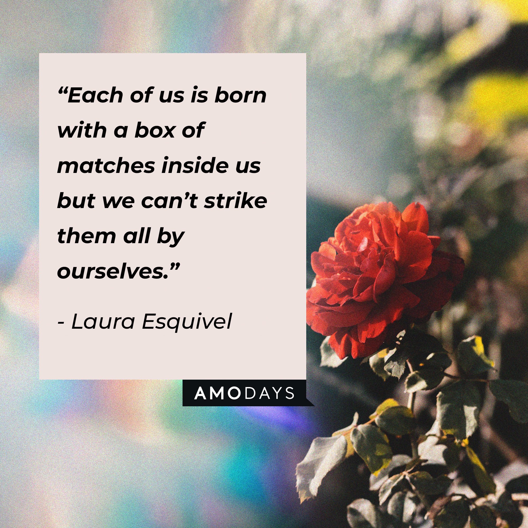  Laura Esquivel's quote: “Each of us is born with a box of matches inside us but we can’t strike them all by ourselves.” | Image: Amodays