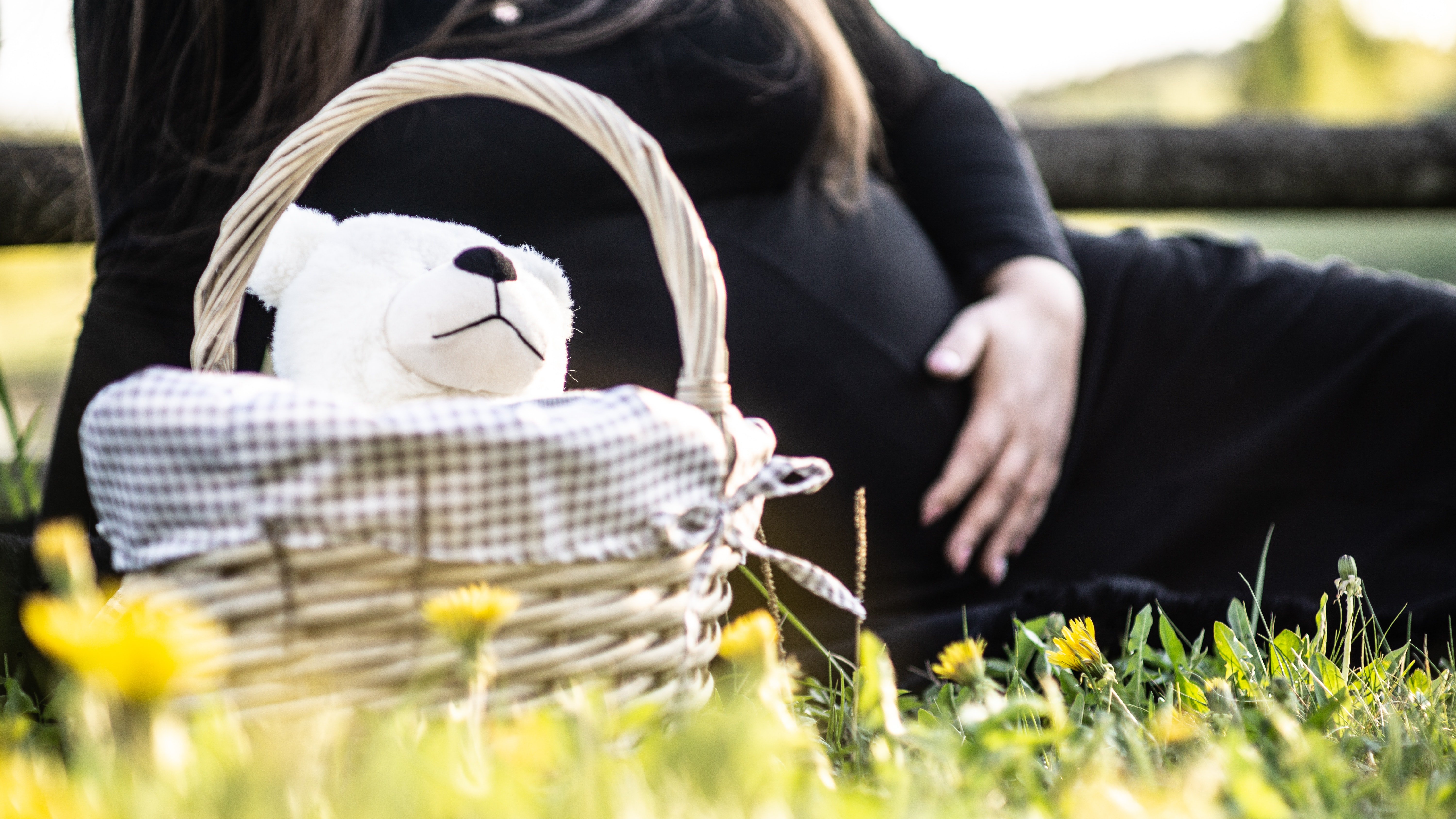Schwangere Frau, die auf Gras nahe Picknickkorb sitzt. | Quelle: Pexels