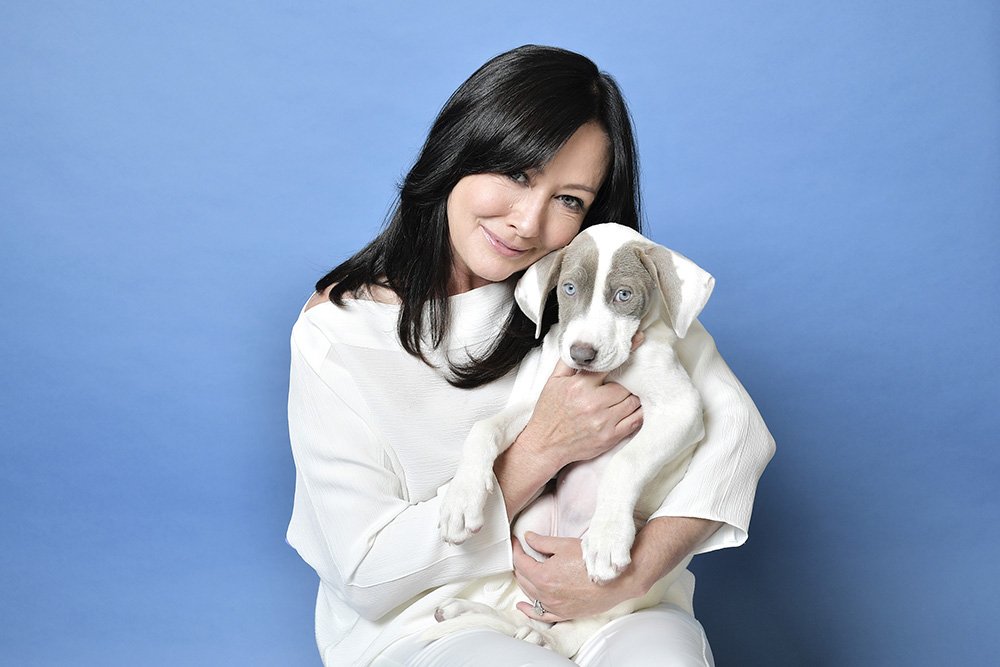Shannen Doherty posing for a portrait at Hallmark Channel and American Humanes 2019 Hero Dog Awards in Beverly Hills, California, in October 2019. I Image: Getty Images.