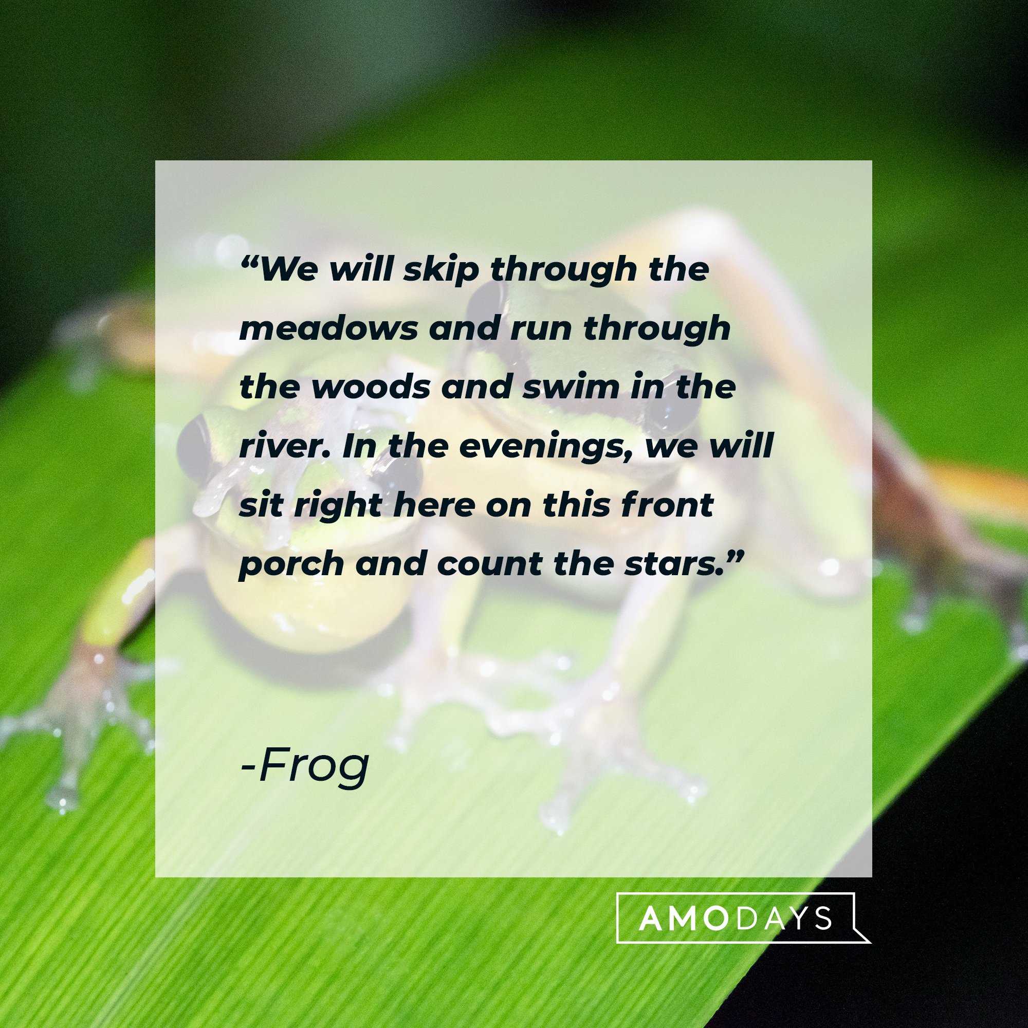 Frog's quote: "We will skip through the meadows and run through the woods and swim in the river. In the evenings, we will sit right here on this front porch and count the stars." | Image: AmoDays