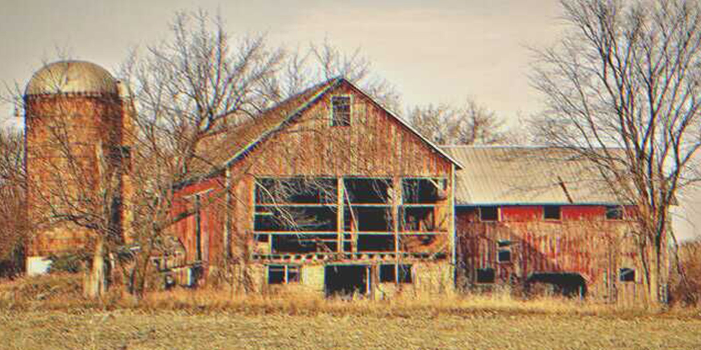 Eine alte Farm | Quelle: Shutterstock