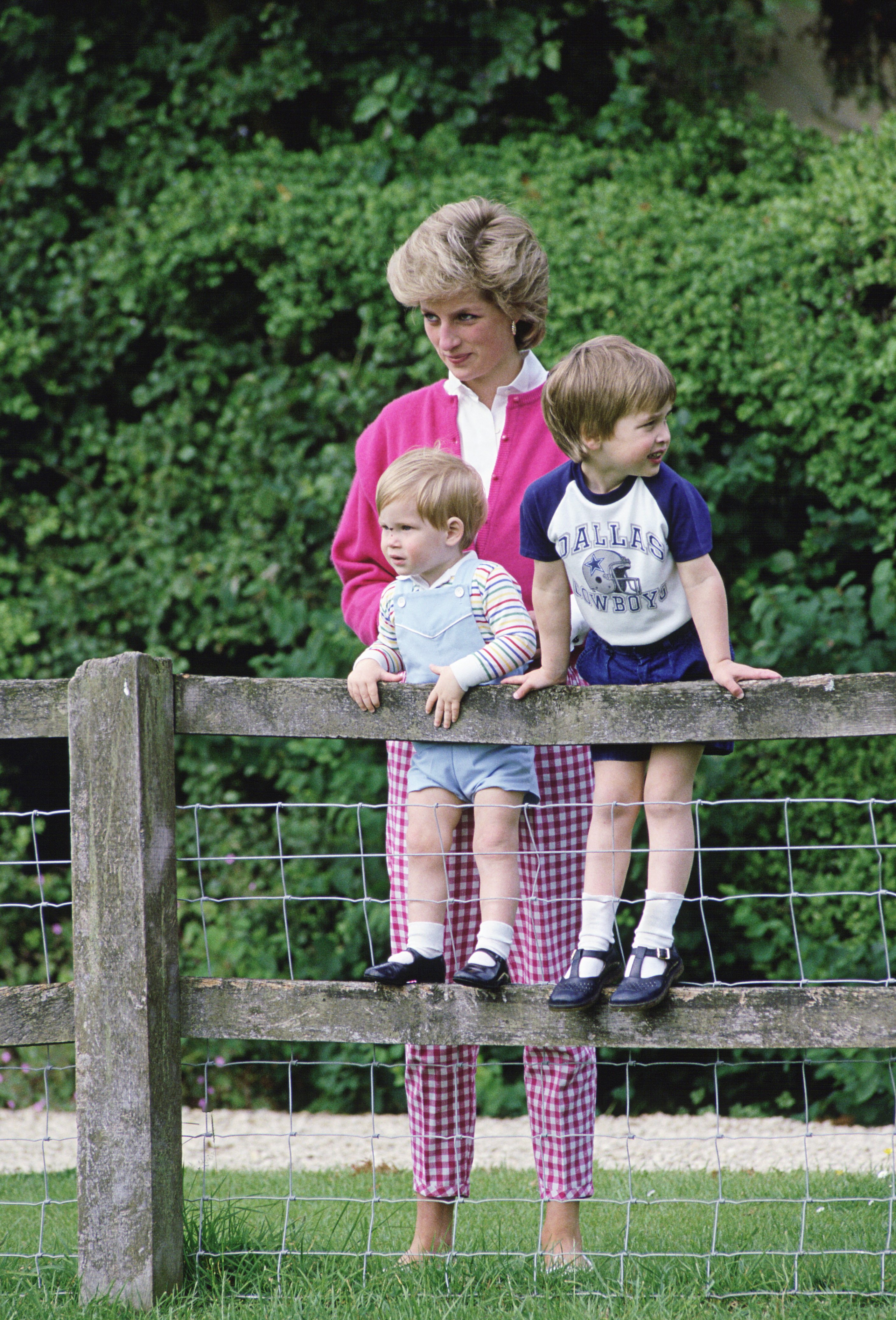 Diana, Princess of Wales with her sons, Prince William and Prince Harry at Highgrove in Tetbury, Gloucestershire. / Source: Getty Images