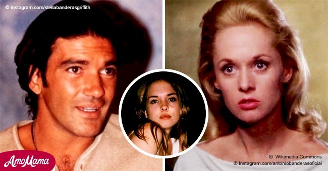 Antonio Banderas' grown-up daughter is her famous grandma Tippi Hedren's look-alike
