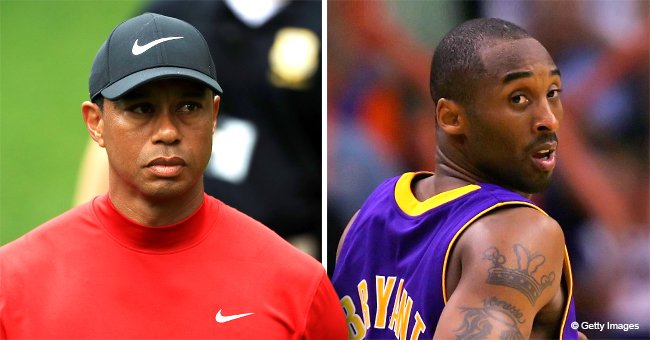 Tiger Woods Pays Unintentional Tribute to Kobe Bryant with 24-Foot, 8 ...