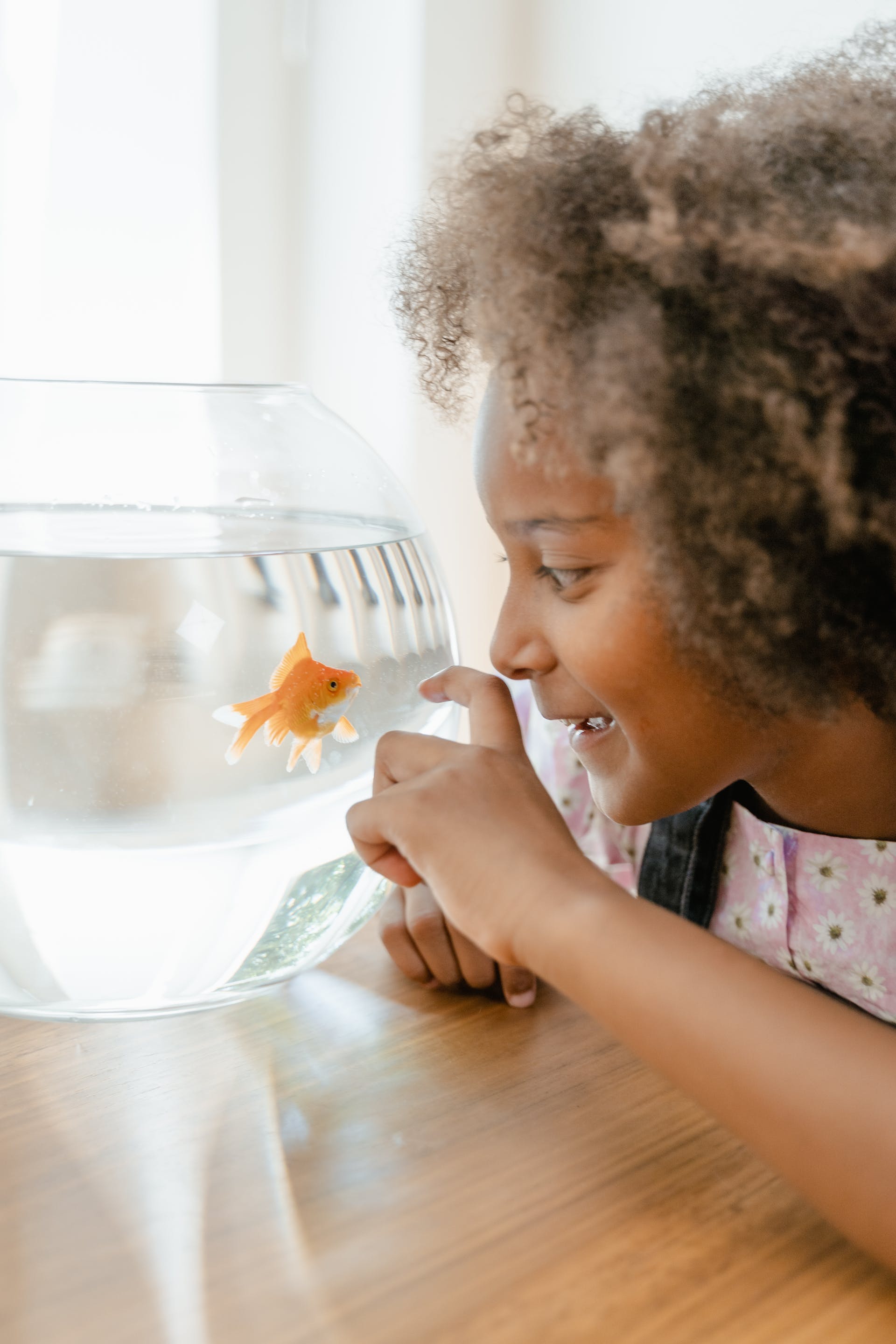A child looking at a goldfish | Source: Pexels