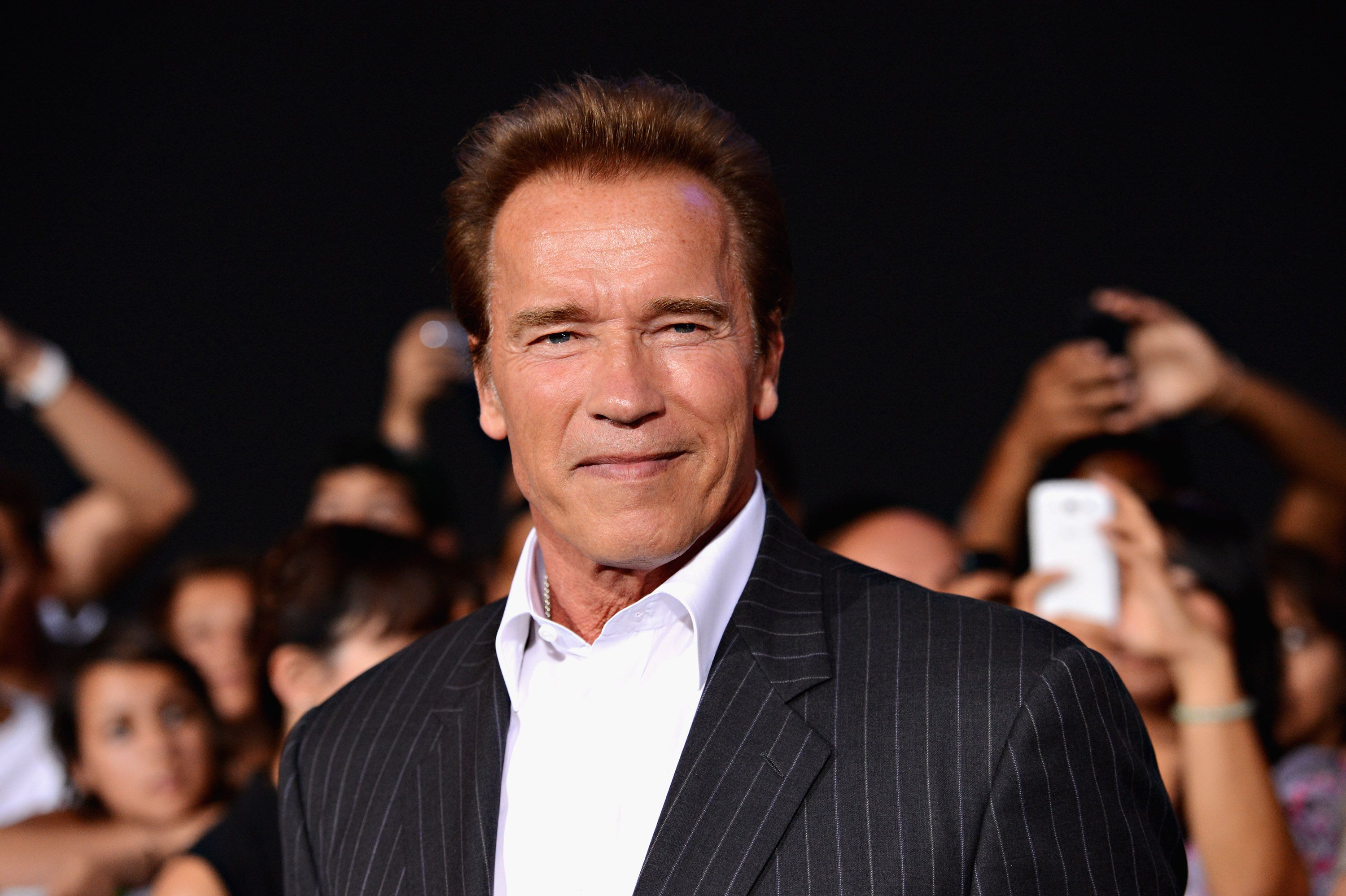 Actor Arnold Schwarzenegger at Lionsgate Films' "The Expendables 2" premiere in Hollywood, California | Photo: Jason Merritt/Getty Images