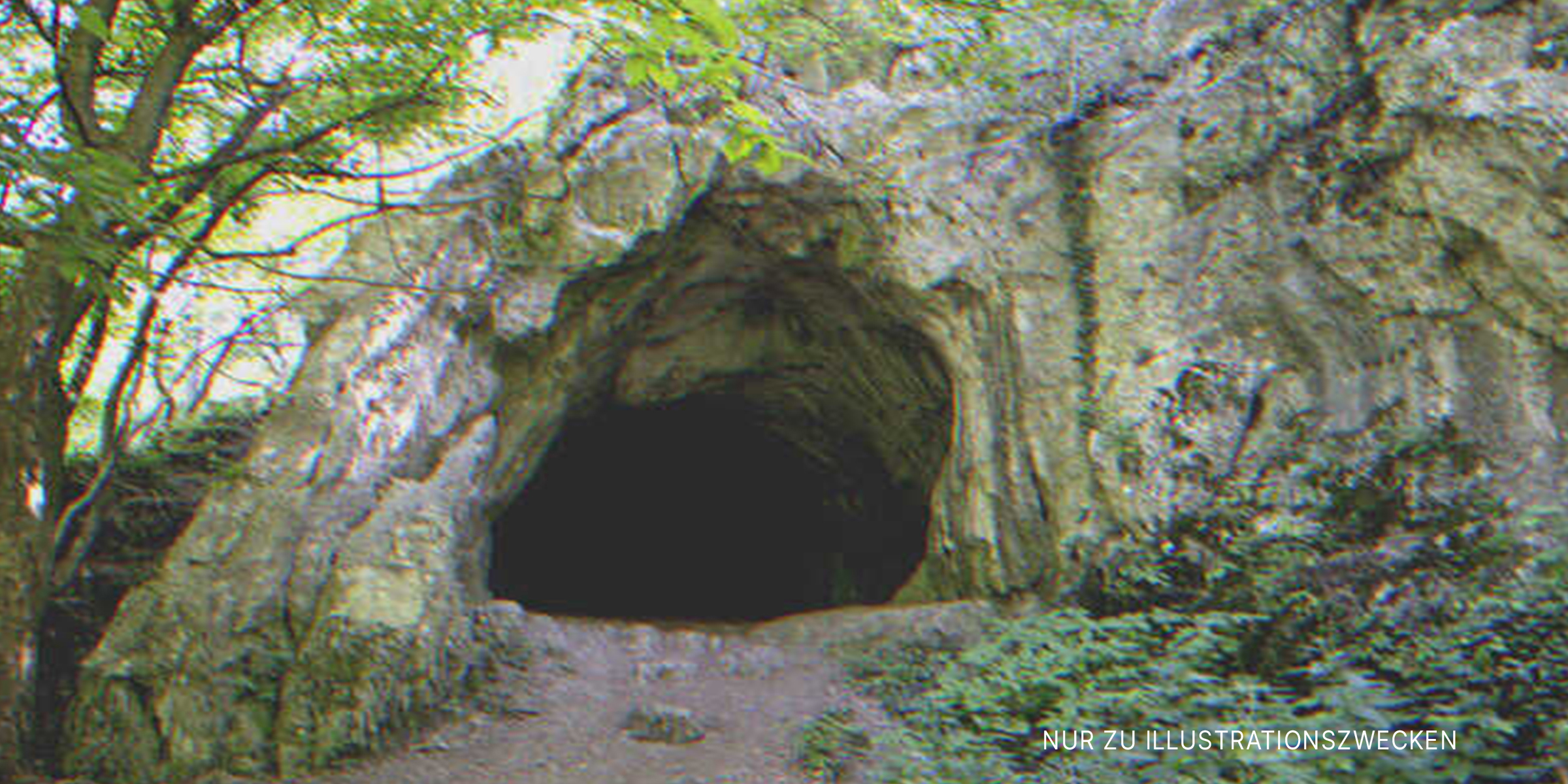 Höhle im Wald | Quelle: Shutterstock