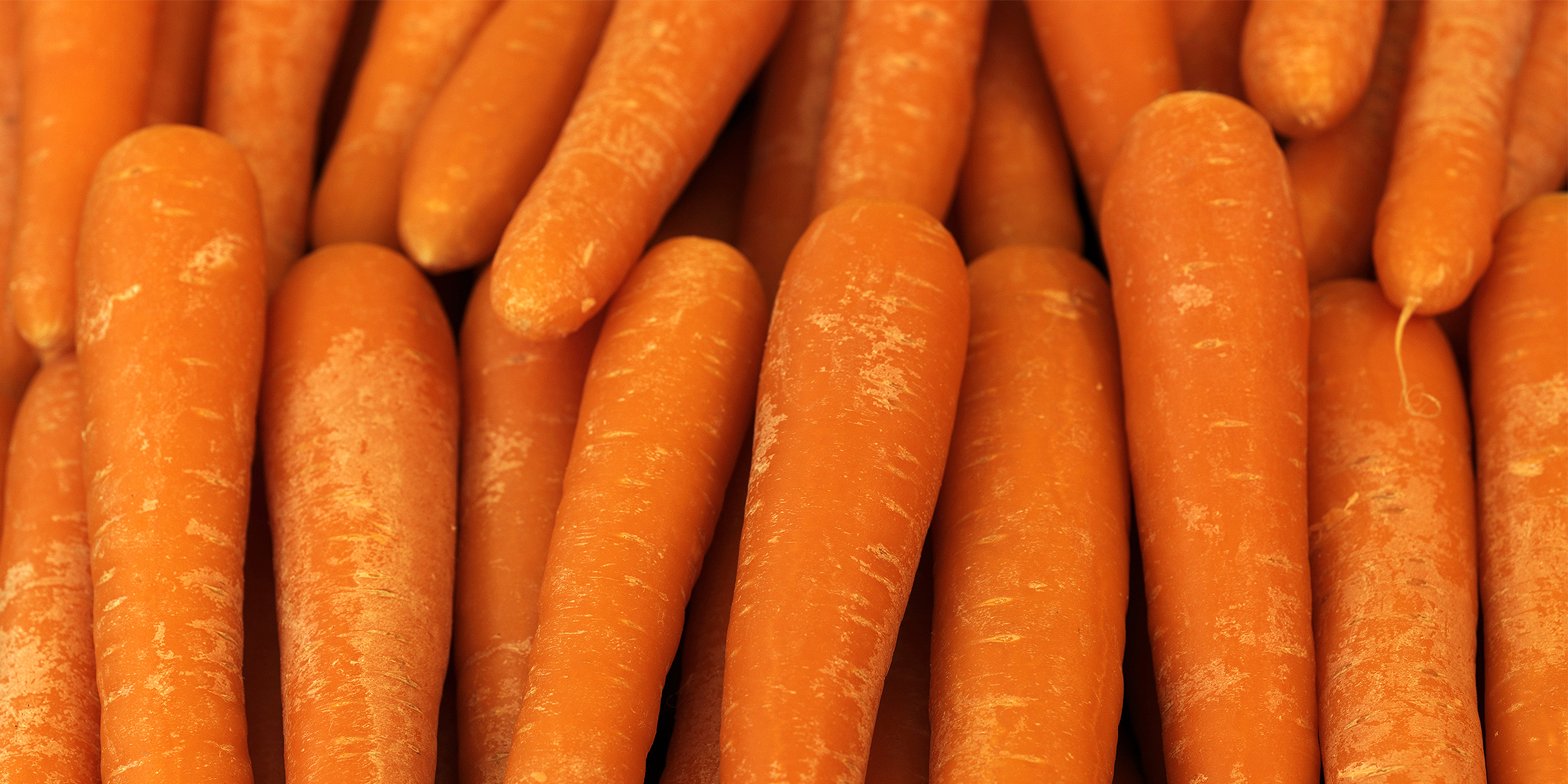 Organic carrots | Source: Getty Images