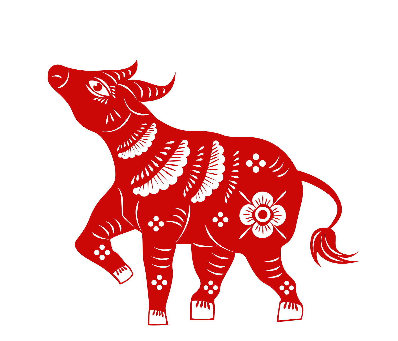 Signo del Año del Buey || Fuente: Shutterstock