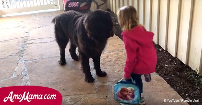 Little girl will not leave for school until she gets kisses from her fluffy dog. Awesome footage